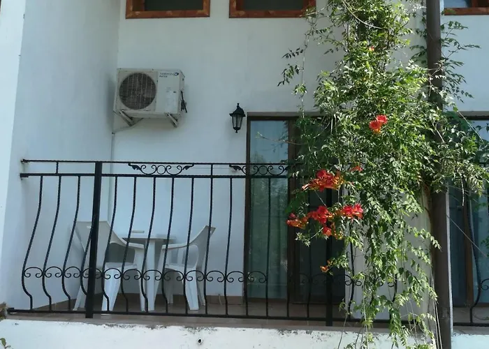 Mioara Parter מלון 3*