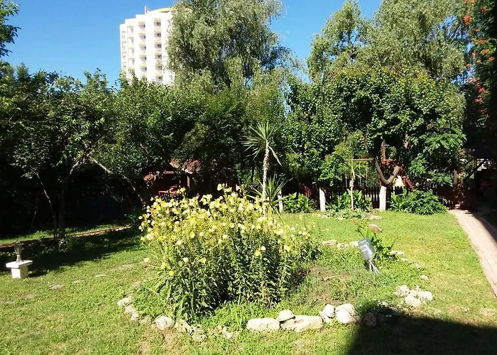 מלון Mioara Parter