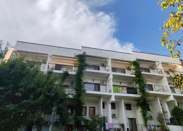 Mioara Parter ונוס