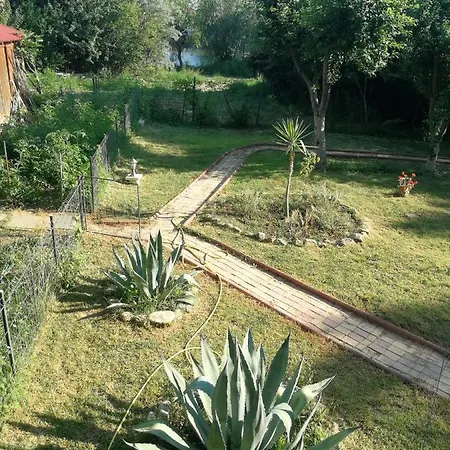 Hotel Mioara Parter Venus