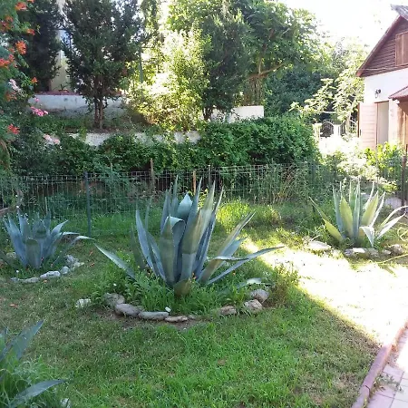 Mioara Parter 3* Venus