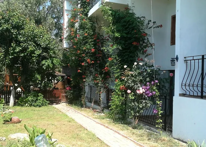 Mioara Parter 3* Venus