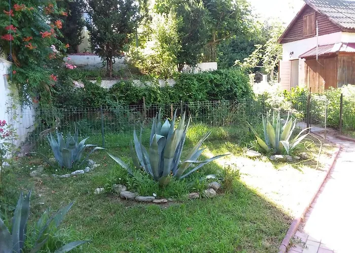 Mioara Parter 3* Venus